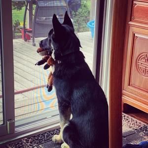 Meet your Posher, Denise